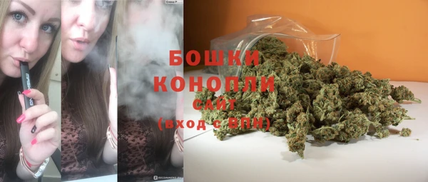 дмт Костерёво