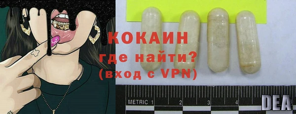 дмт Костерёво