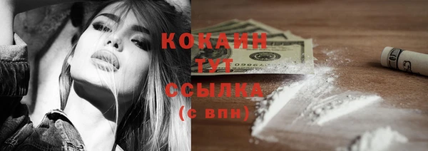дмт Костерёво